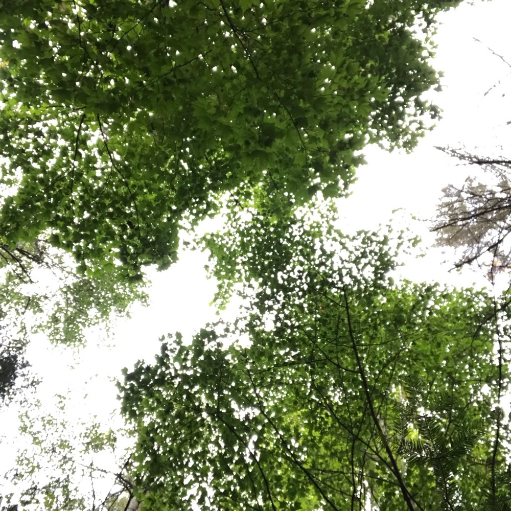 Meet your Posher, Jeremiah